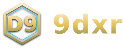 9dxr logo